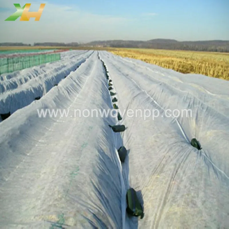 agriculture non woven fabric supplier